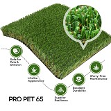 Keep It Green Turf
Pro Pet